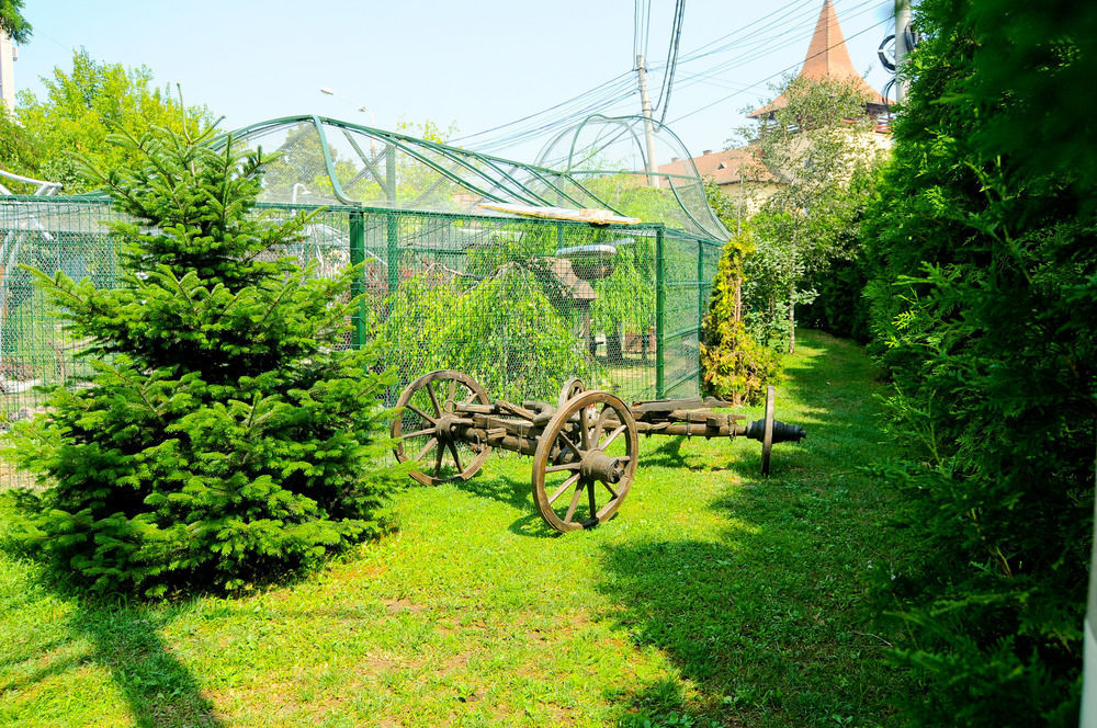 Pension La Cupola Târgu-Mureş Dış mekan fotoğraf