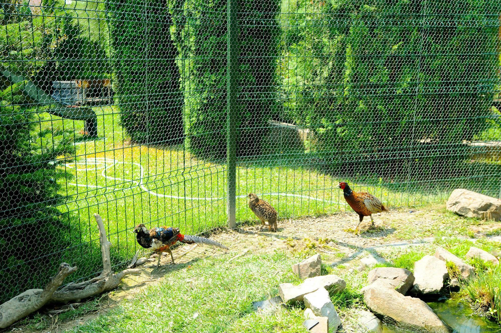 Pension La Cupola Târgu-Mureş Dış mekan fotoğraf
